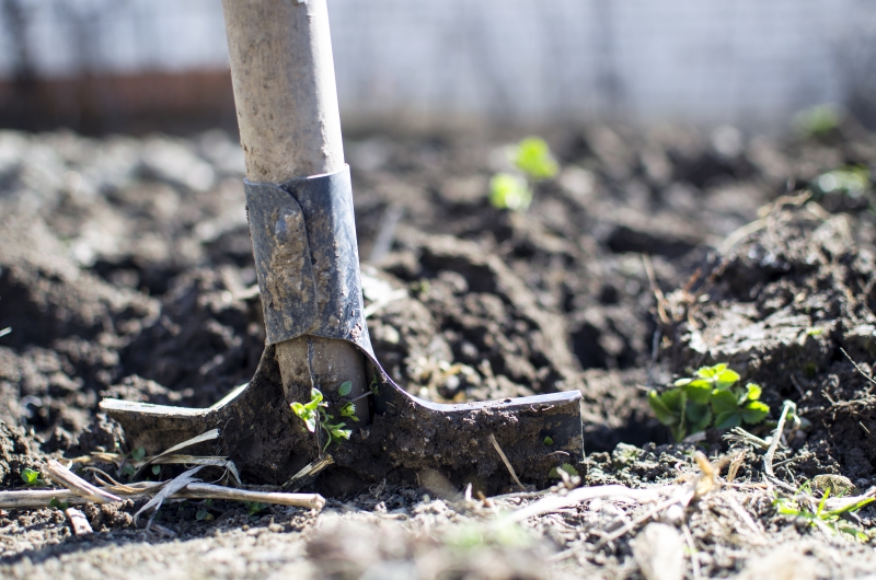 jardinerie-MOUGINS-min_equipment-2047314